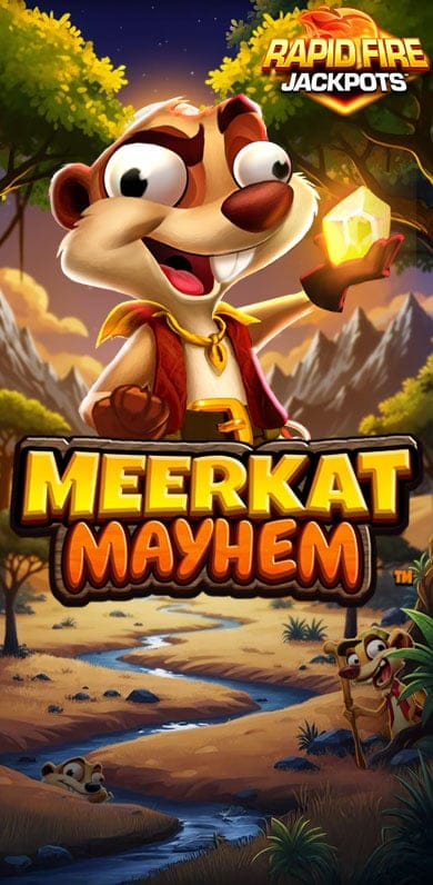 Meerkat Mayhem Rapid Fire in fb_top