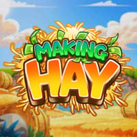 Making Hay in ga_new