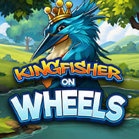 Kingfisher on Wheels in All