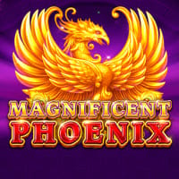Magnificent Phoenix in All