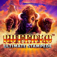 Buffalo Ultimate Stampede in ga_new