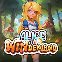 Alice in Winderland in All