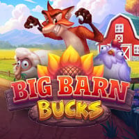 Big Barn Bucks in All
