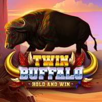Twin Buffalo: Hold and Win in Sub_AllNewGames