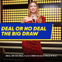 Deal or No Deal The Big Draw in topgameshows