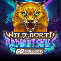 Wild North Radiant Skies GO Collect in Sub_AllNewGames