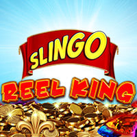 Gala Bingo Slingo